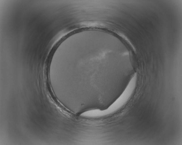 X0000080760983200701122025