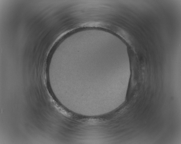 X0000080760984200701122025
