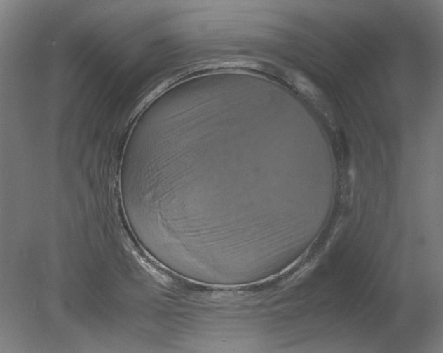 X0000080760985200701122025