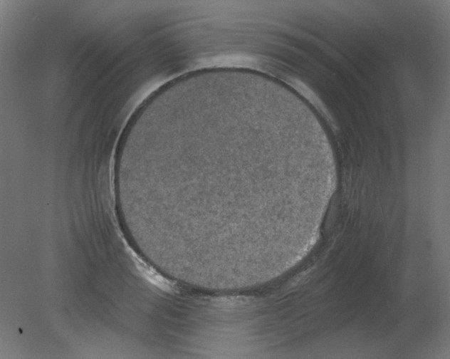 X0000080760988200701122025