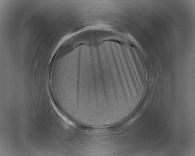 X0000080760989200701122024