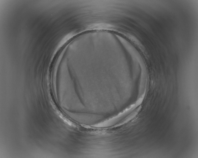 X0000080760990200701122024