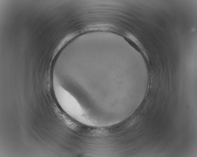 X0000080760994200701122024