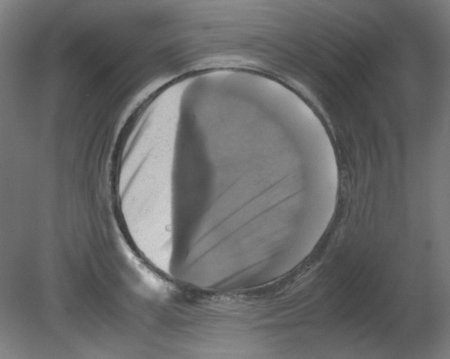 X0000080760995200701122024