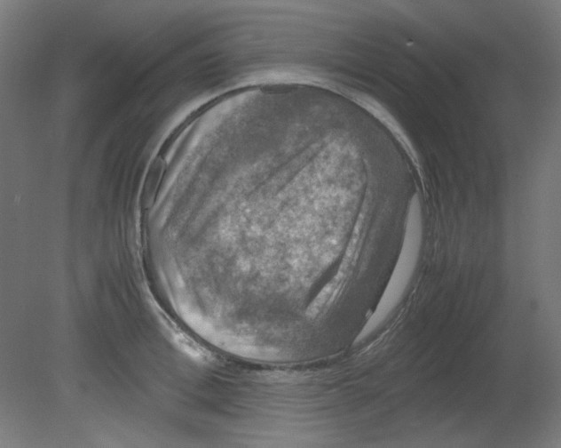 X0000080760996200701122024