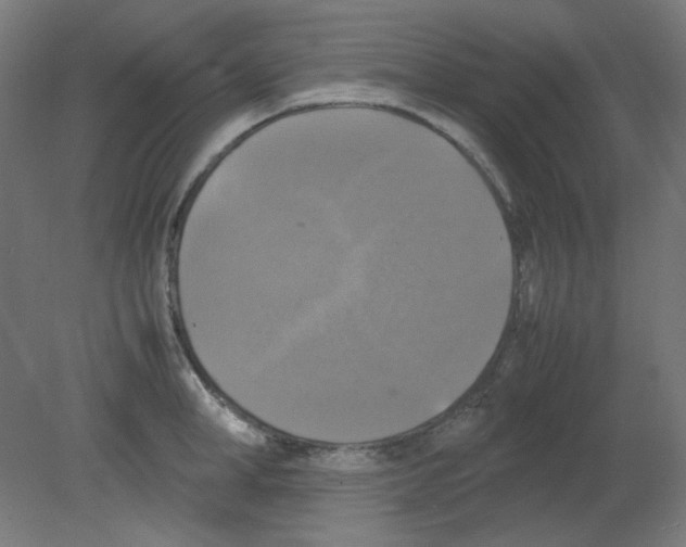 X0000080760998200701122024