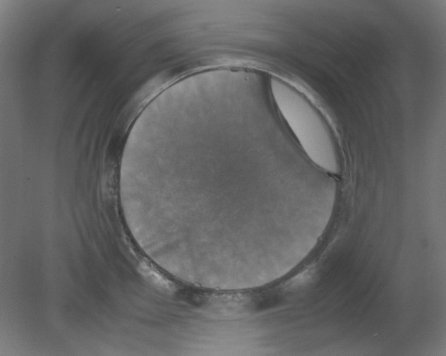 X0000080761001200701122024