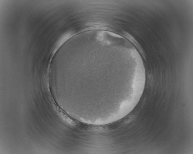 X0000080761002200701122024