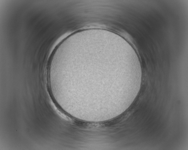 X0000080761003200701122024