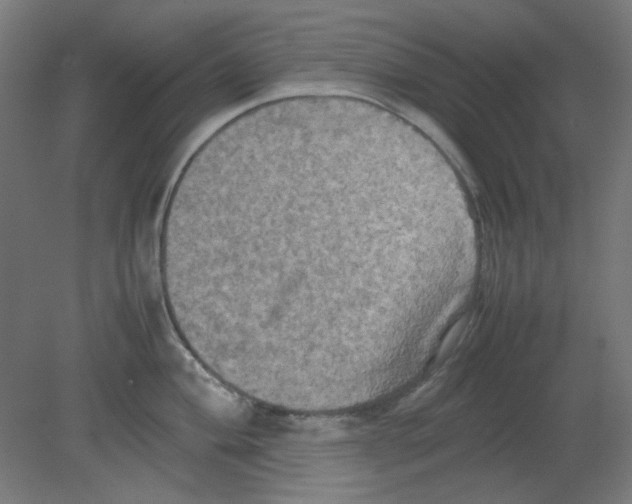 X0000080761004200701122024