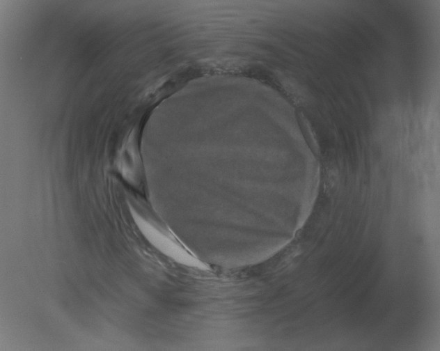 X0000080761010200701122023