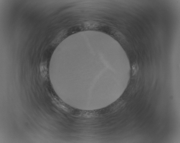 X0000080761011200701122023
