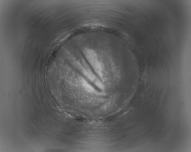 X0000080761014200701122023