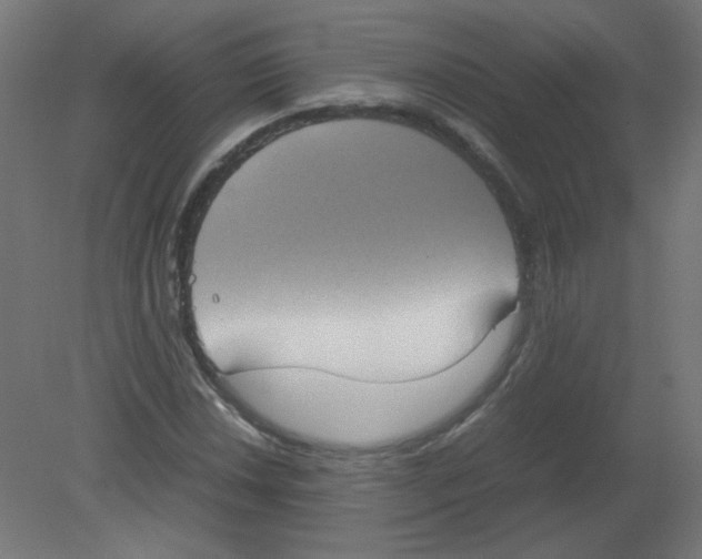 X0000080761018200701122023