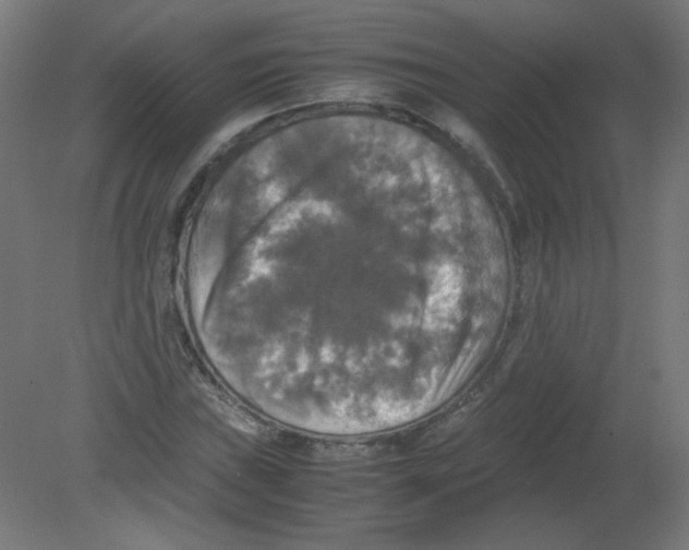 X0000080761019200701122024