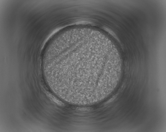 X0000080761021200701122024