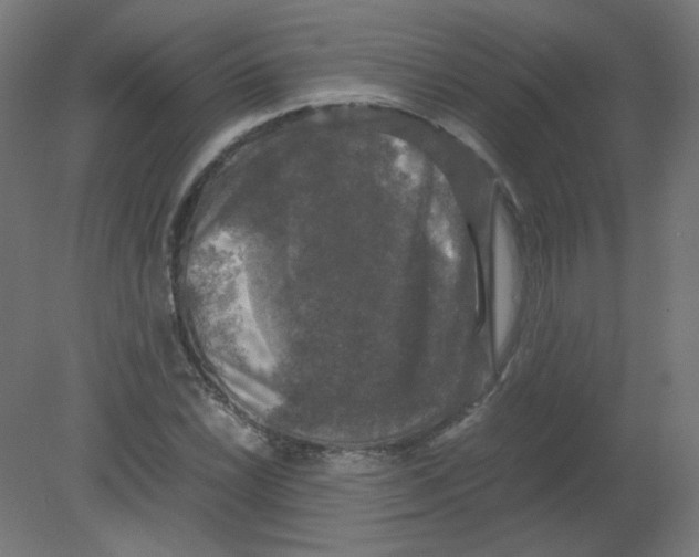 X0000080761022200701122024