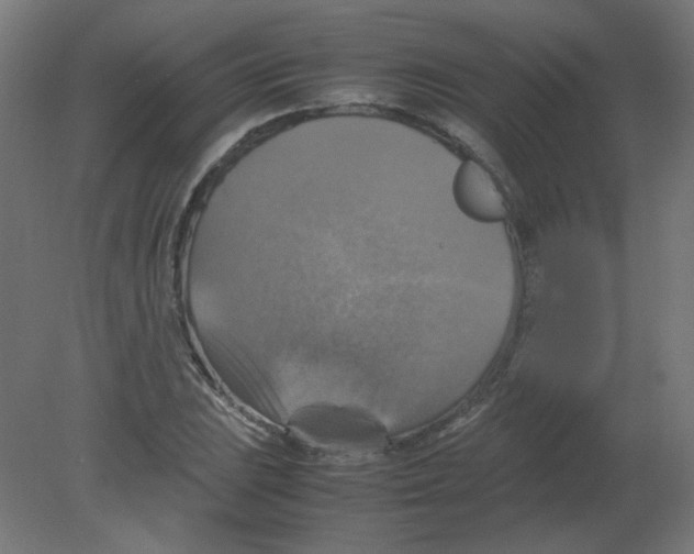 X0000080761023200701122024