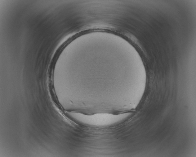 X0000080761024200701122024