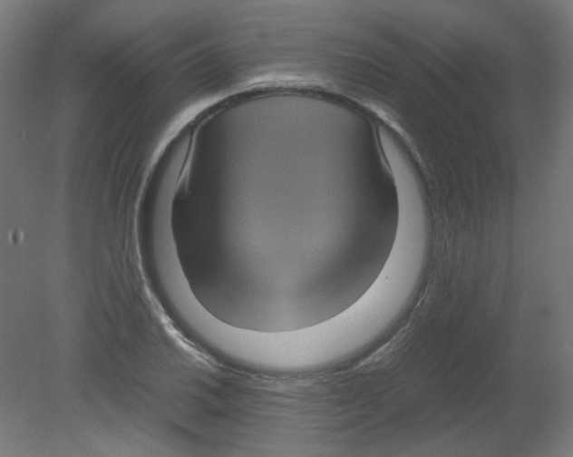 X0000080761030200701122024