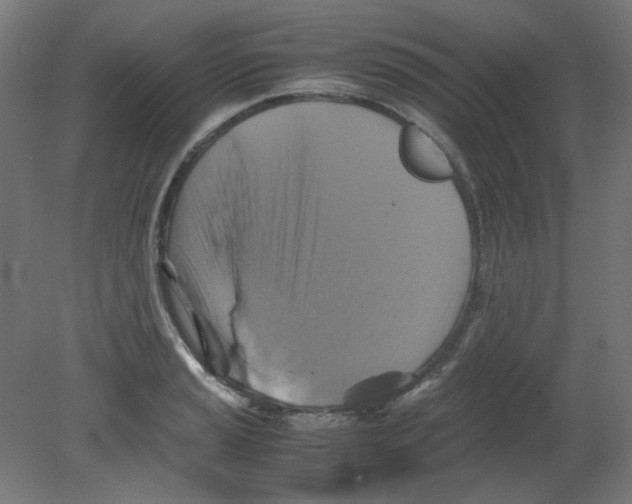 X0000080761037200701122024
