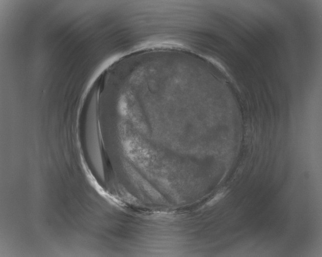 X0000080761038200701122024