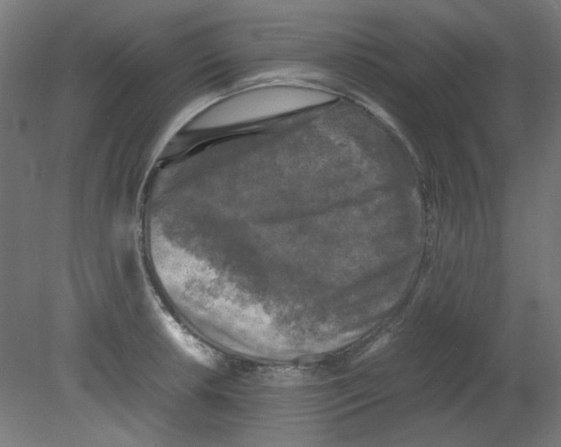 X0000080761042200701122024
