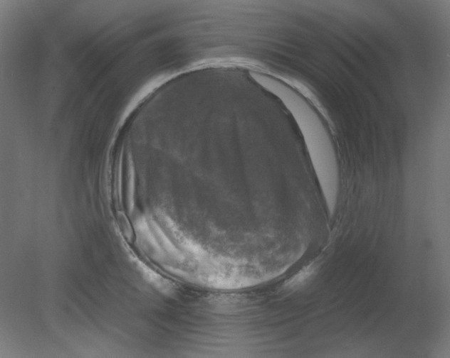X0000080761046200701122024