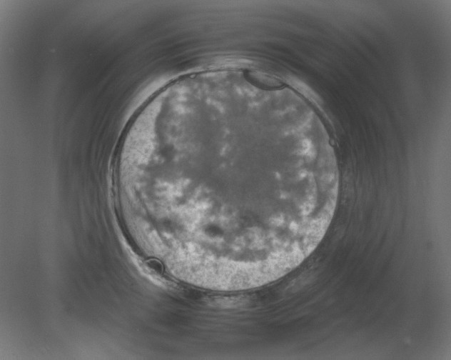 X0000080761047200701122024