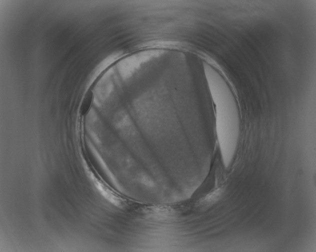X0000080761050200701122024