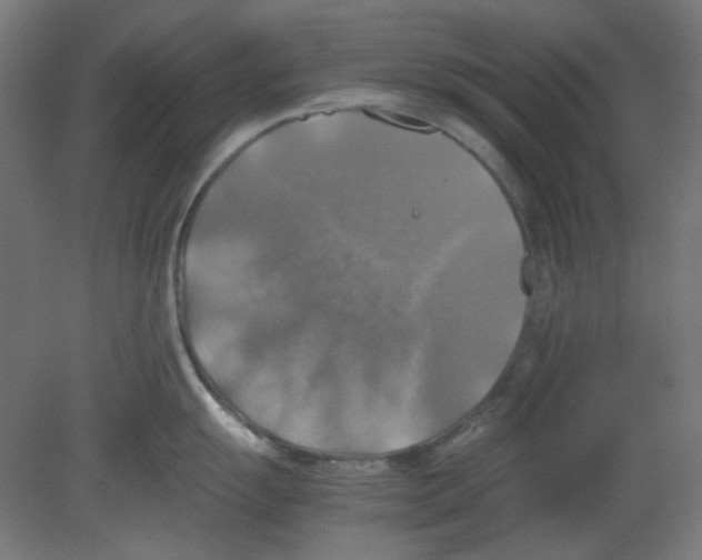 X0000080761055200701122024
