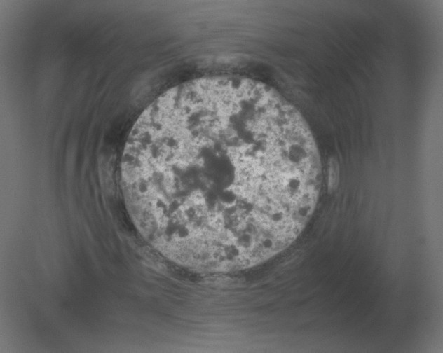 X0000080761059200701122023