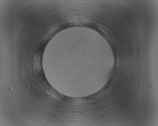 X0000080761060200701122023