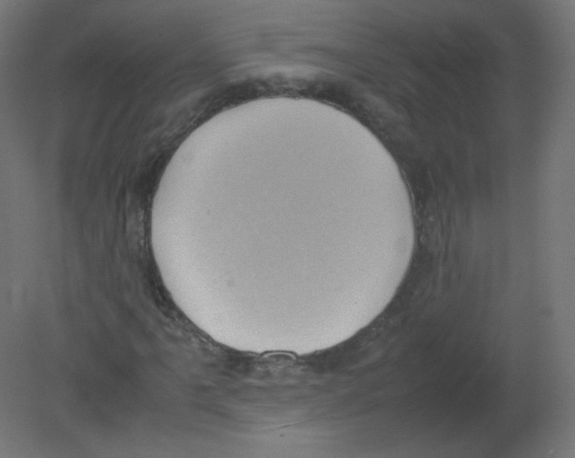 X0000080761061200701122023