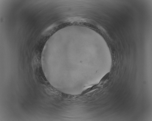 X0000080761063200701122023