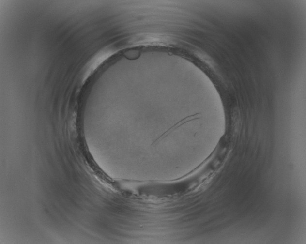 X0000080761066200701122023