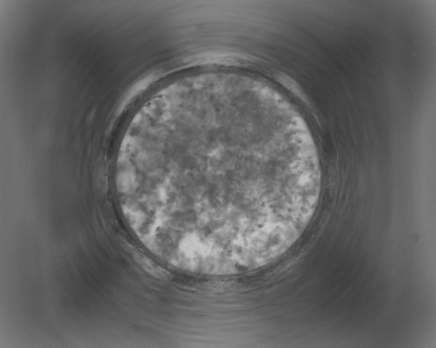 X0000080761067200701122023