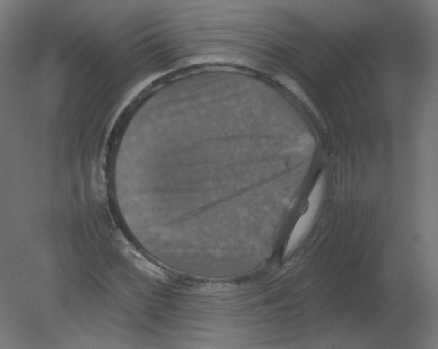 X0000080761068200701122023