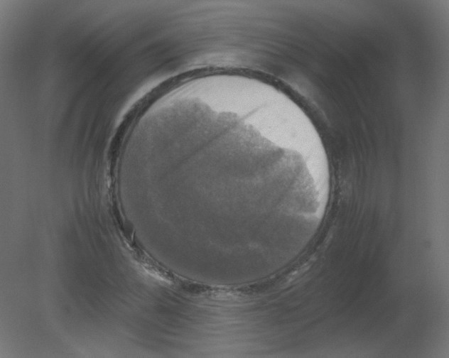X0000080761070200701122023