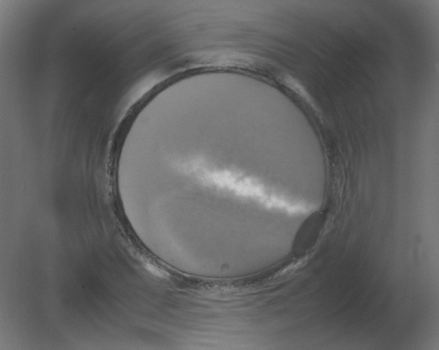 X0000080761071200701122023
