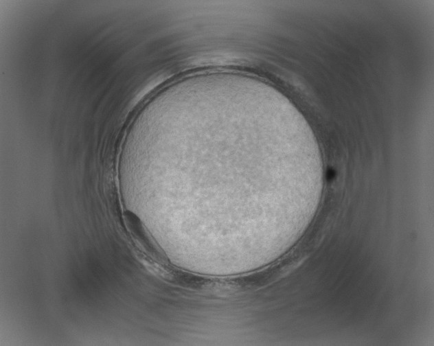 X0000080761073200701122023