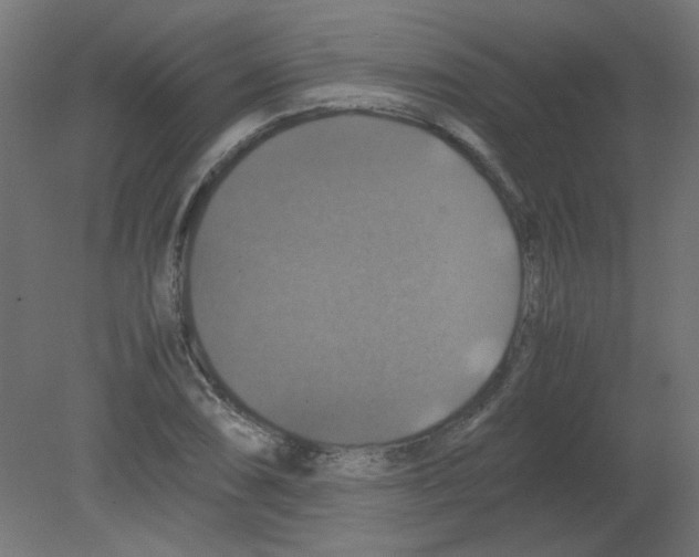 X0000080761074200701122023