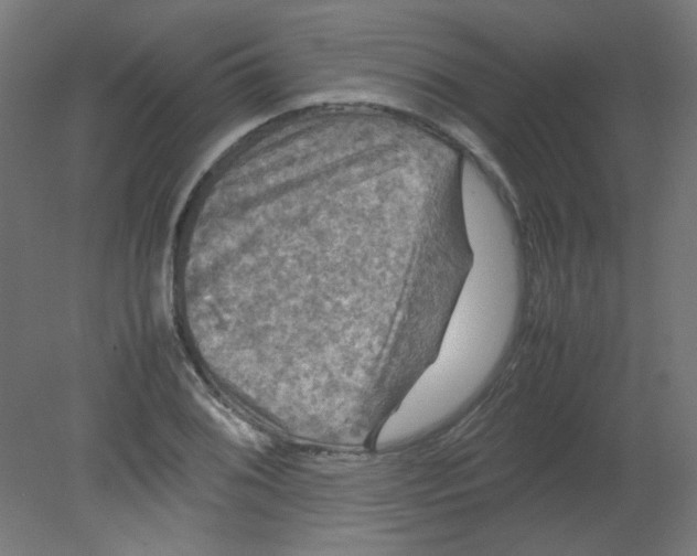 X0000080761076200701122023