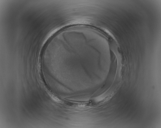 X0000080761077200701122023