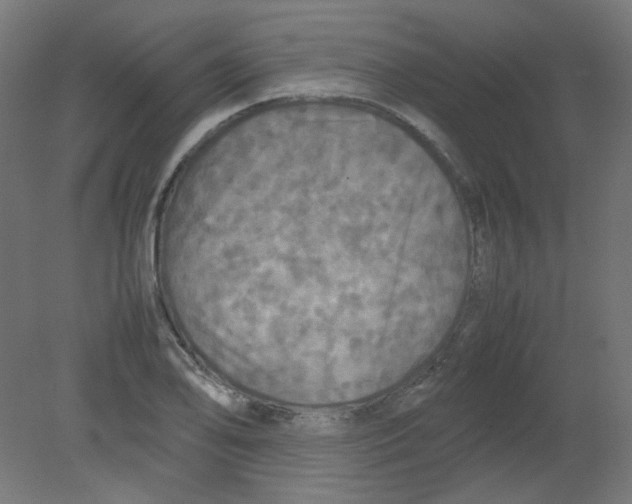 X0000080761078200701122023