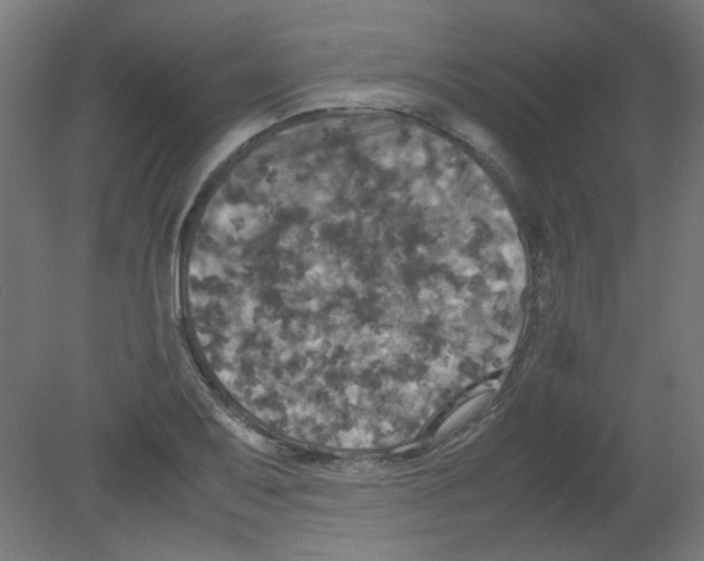 X0000080761079200701122023