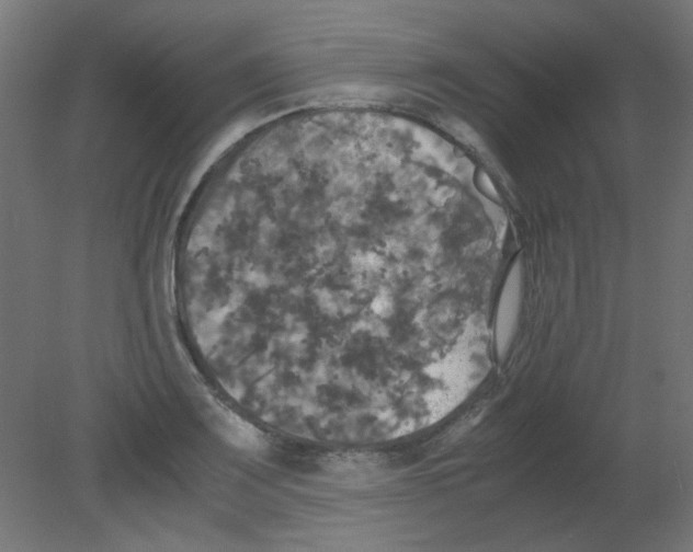 X0000080761083200701122023