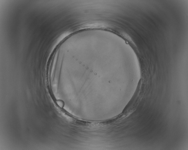 X0000080761087200701122023