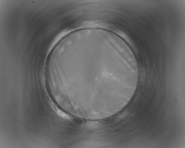 X0000080761094200701122023