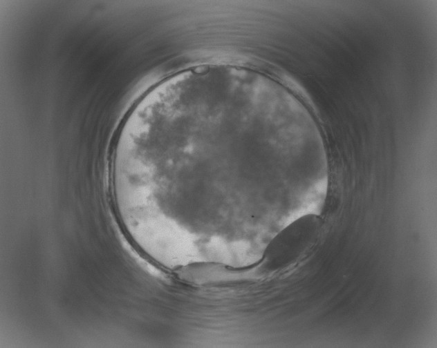 X0000080761095200701122023